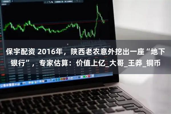 保宇配资 2016年，陕西老农意外挖出一座“地下银行”，专家估算：价值上亿_大哥_王莽_铜币