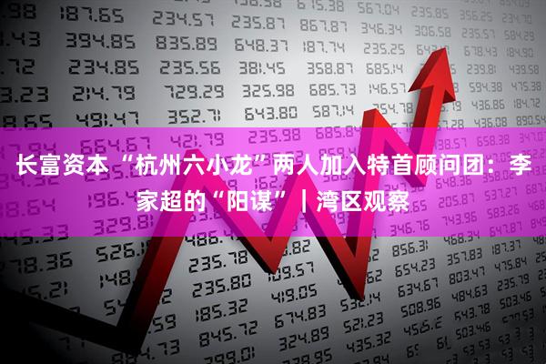 长富资本 “杭州六小龙”两人加入特首顾问团：李家超的“阳谋”｜湾区观察