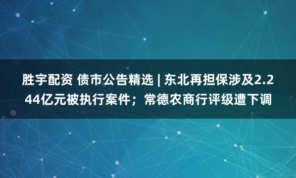 胜宇配资 债市公告精选 | 东北再担保涉及2.244亿元被执行案件；常德农商行评级遭下调