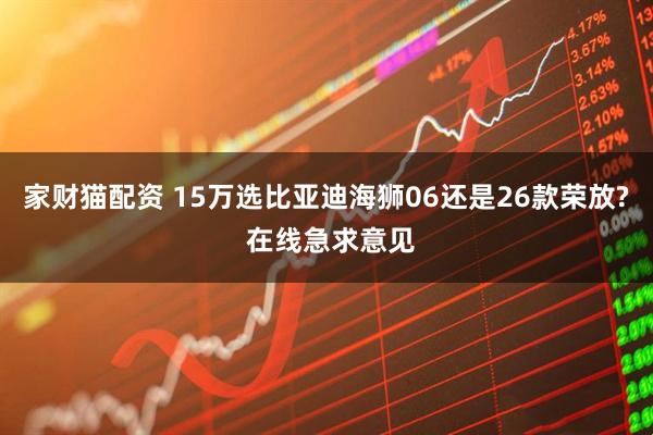 家财猫配资 15万选比亚迪海狮06还是26款荣放? 在线急求意见